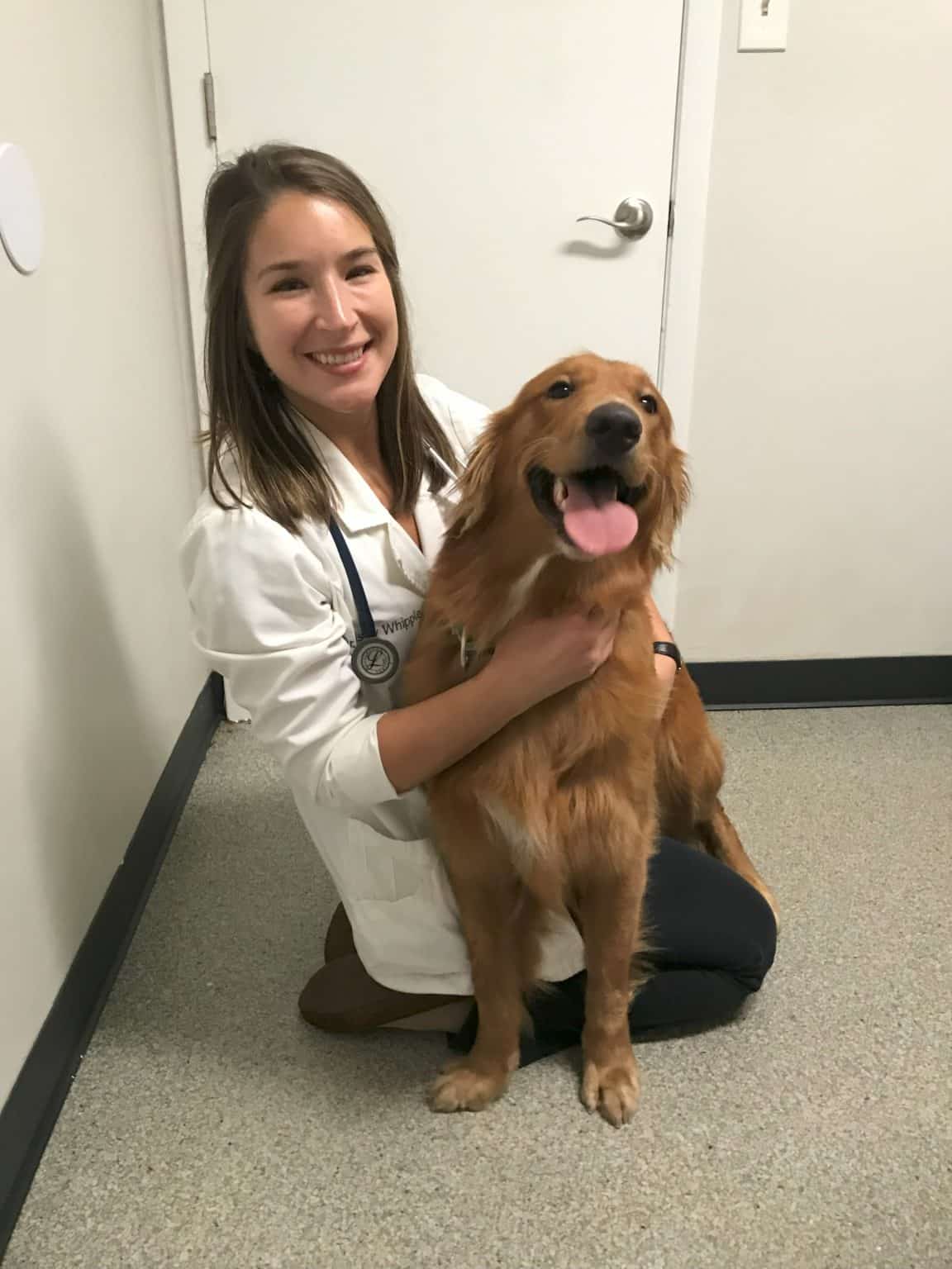 FKSPCA veterinarian with a golden retriever